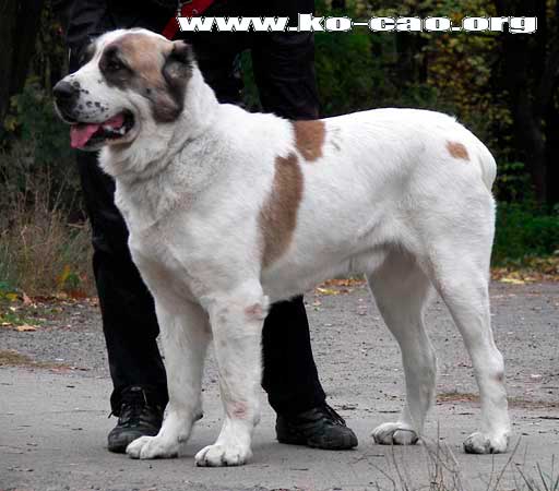 ���������� �������