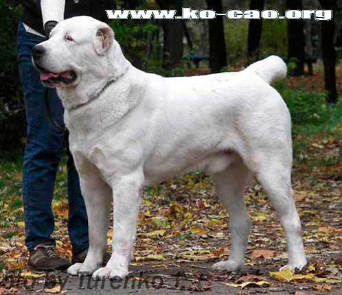 ���������� �������