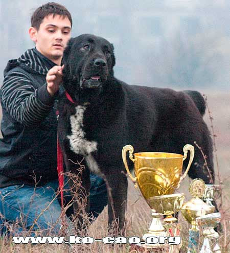 ���������� �������