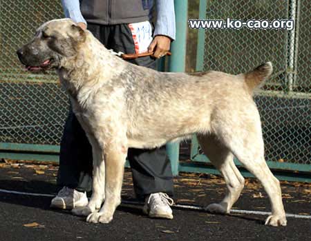 ���������� �������