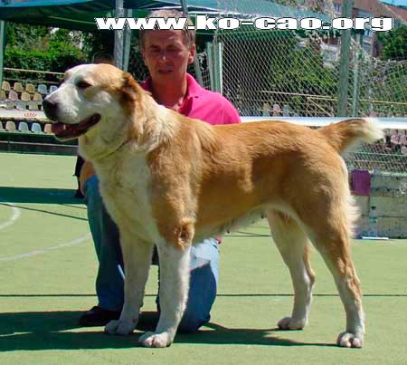 ���������� �������