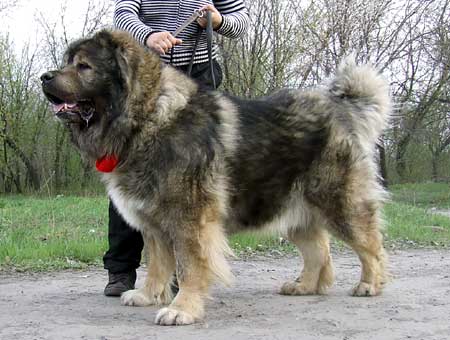 ���������� �������