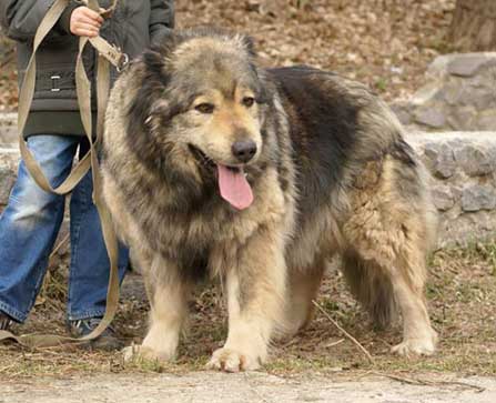 ���������� �������