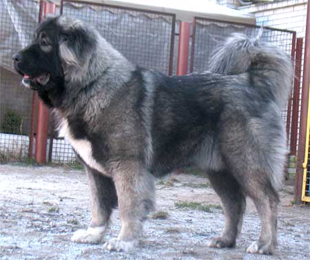 ���������� �������