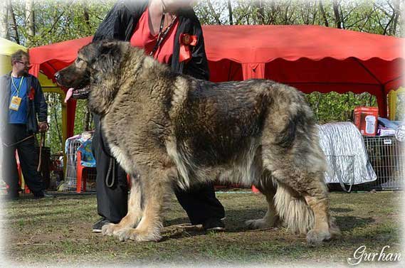 ���������� �������