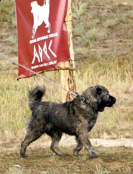 ���������� �������